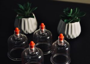 Four suctions cups next to two cactuses in pots